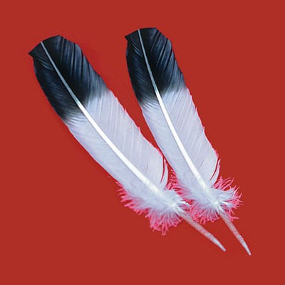 Imitation Eagle Wing Feather Hand Dyed · 13-15 inches