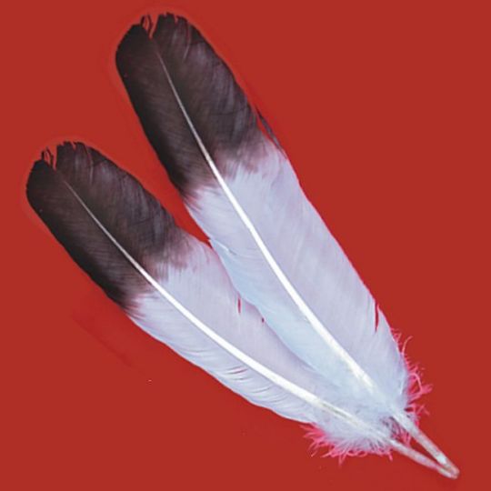 Imitation Eagle Wing Feather Hand Dyed · 13-15 inches