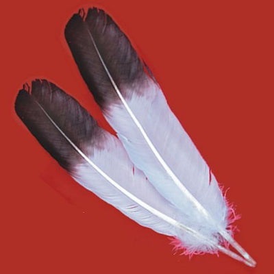 Imitation Eagle Wing Feather Hand Dyed · 13-15 inches