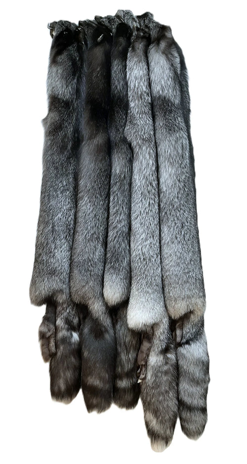 Indigo fox
