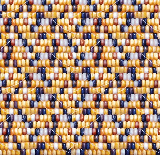Native corn 674 - Multi 100% Cotton Designer