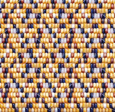 Native corn 674 - Multi 100% Cotton Designer