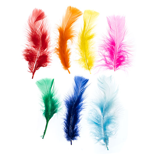 6 g - Plumes de marabout · 4-5 po