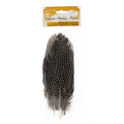 10 pcs - Guinea Fowl Feathers · 6 to 9 inches