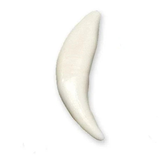 Coyote Tooth