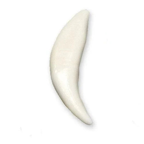 Coyote Tooth