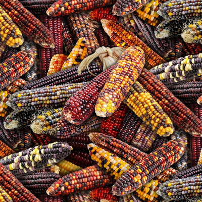 Corn 595 - Multi 100% Cotton Designer