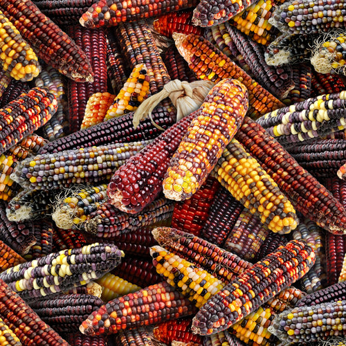 Corn 595 - Multi 100% Cotton Designer