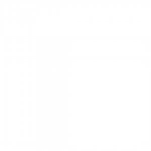 Lambskin Leather Lace