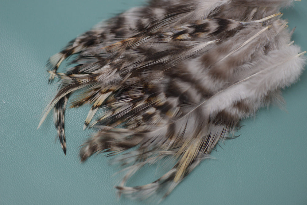 3g - Chinchilla Color Rooster Back Feathers · 4 to 6 inches