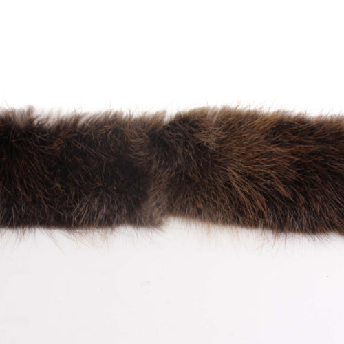 Bande de Castor · 1½ po