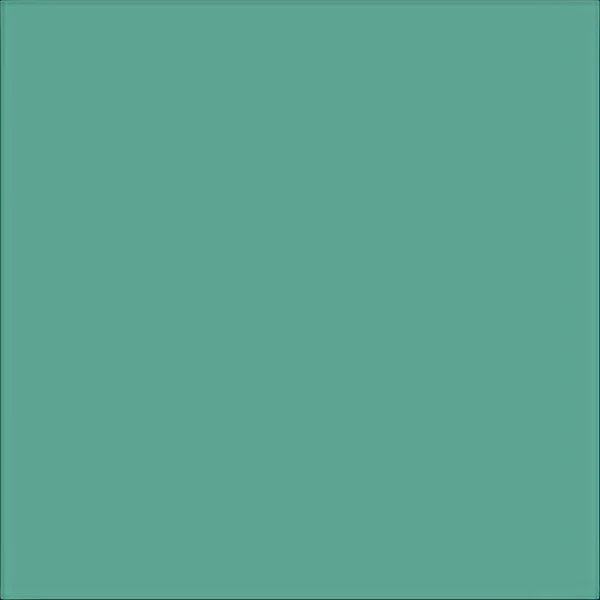 Lambskin Leather Lace