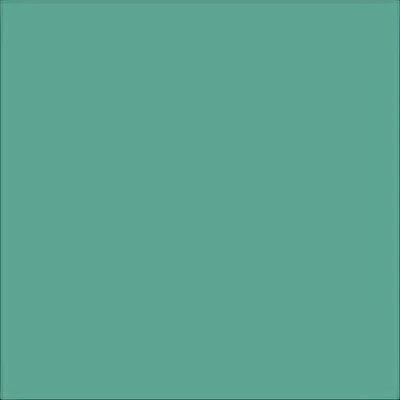 Lambskin Leather Lace