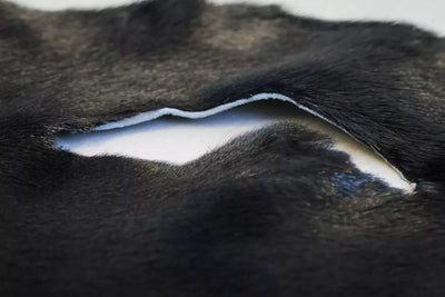 Dyed Harp Seal Black - Grade I