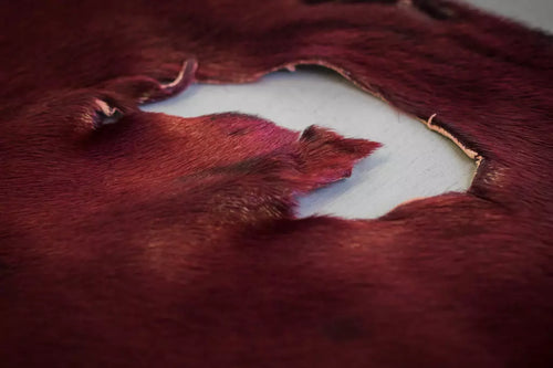 Dyed Harp Seal Burgundy - Grade II