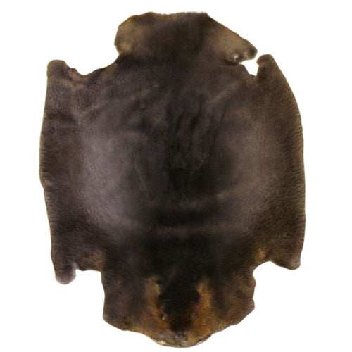 Shaved Beaver Fur Pelt