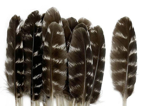 Petite plume de dindon sauvage - 10pcs