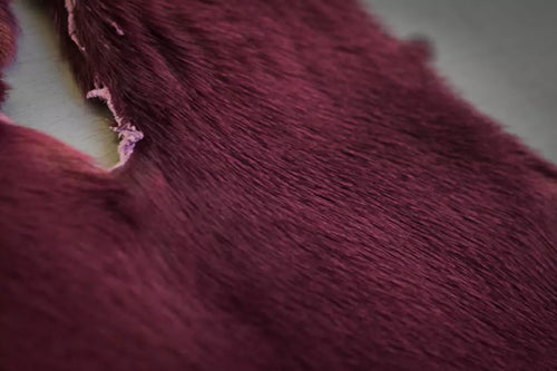 Loup-marin du Groenland teint Fuchsia - Grade II