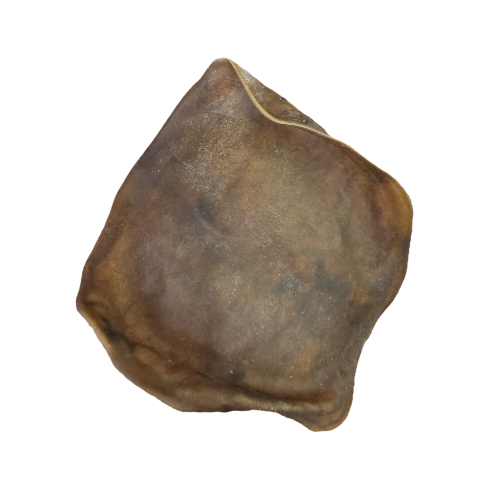 Pre-cut horse rawhide unstretched / Various Sizes