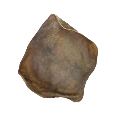 Pre-cut horse rawhide unstretched / Various Sizes