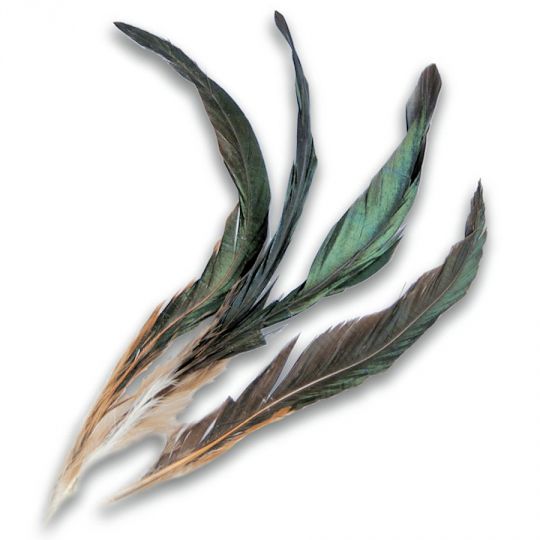 5g - Natural bronze/iridescent green rooster feathers