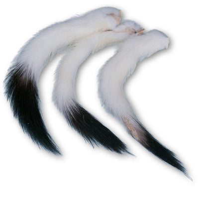 Ermine Tails • 4-6"