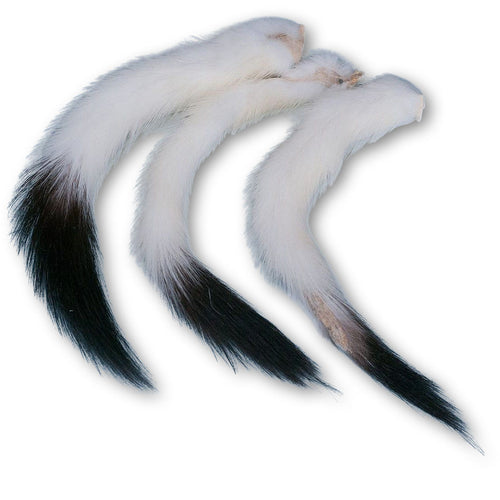 Ermine Tails • 4-6"