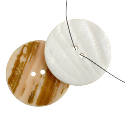 Conch Shell Button