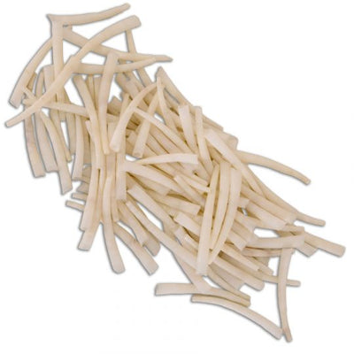 100 pcs - Grand coquillage dentalium lisse  - 1.75 à 2 po