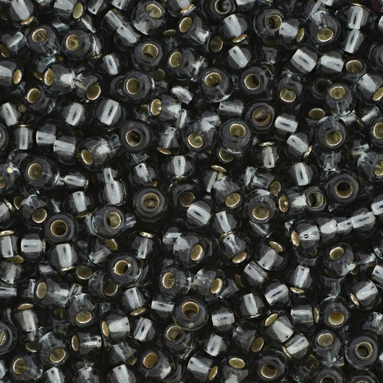 Preciosa Seedbead 6/0 - SB01701 Silverlined Black Diamond