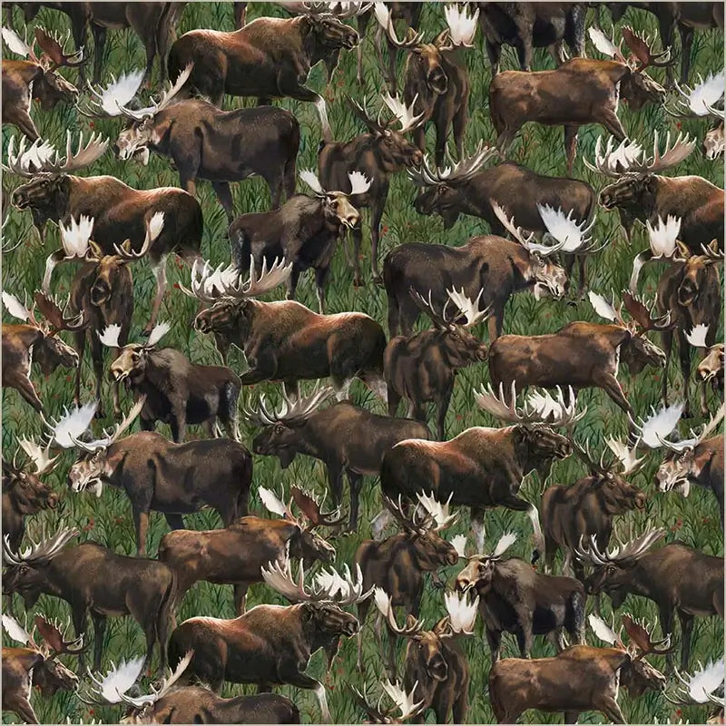 Wild Kingdom of Moose 55029D - Green 100% Cotton Designer