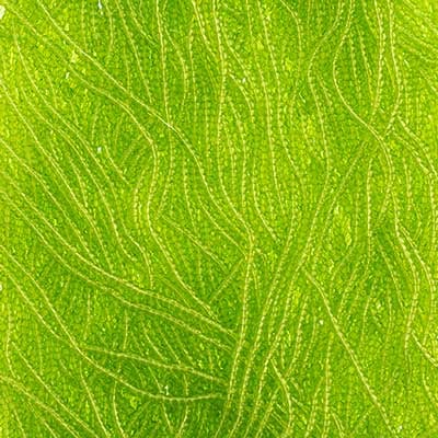 10/0 - SB01208S Vert clair transparent · Preciosa rocaille||Preciosa Seedbead 10/0 - SB01208S Transparent Light Green Strung
