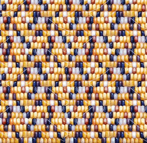 Maïs des premiers peuples 674 - Multi Tissu 100% coton designer