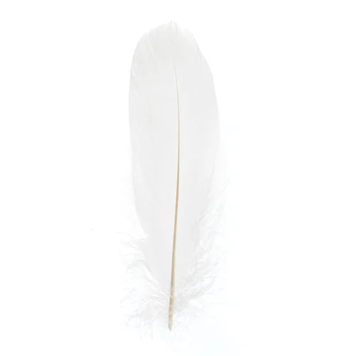 50 Plumes Coupées - Blanc 6 Cm à Prix 50 Plumes Coupées - Blanc 6 Cm à Prix