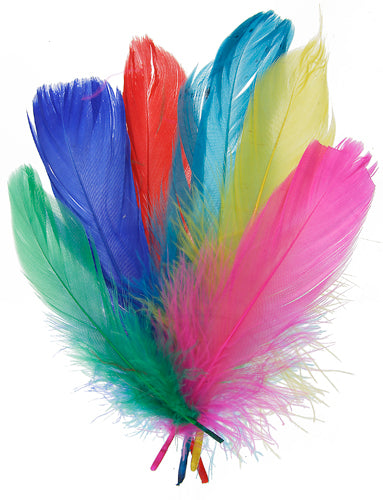 6 g - Plumes d'oie - couleurs variées · 5 à 7 pouces