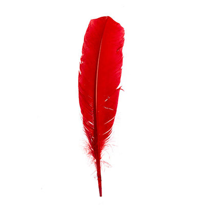 6 pcs - Dyed Turkey Feathers, 3 Left &amp; 3 Right - Assorted Colors · 12 inch