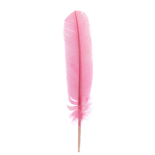 6 pcs - Dyed Turkey Feathers, 3 Left &amp; 3 Right - Assorted Colors · 12 inch