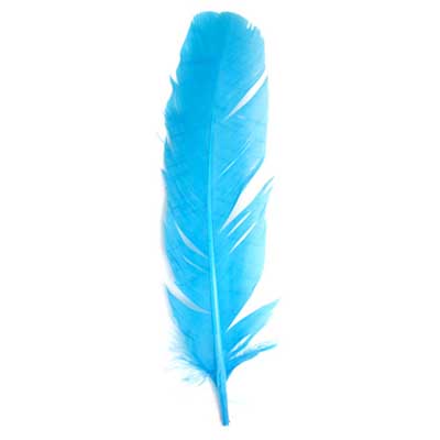 6 pcs - Dyed Turkey Feathers, 3 Left &amp; 3 Right - Assorted Colors · 12 inch