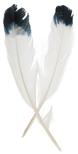 Imitation eagle feather |