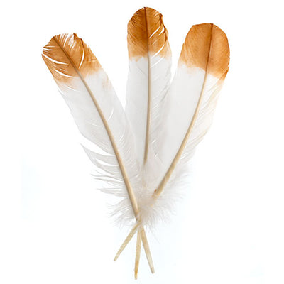 Imitation eagle feather |