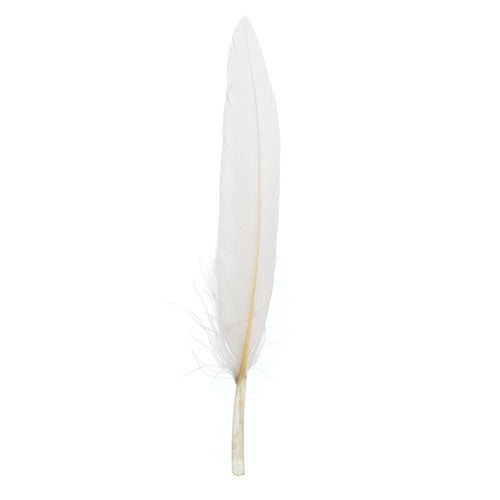 24 pcs - Small Duck Wing Feathers · 3 to 4 inches