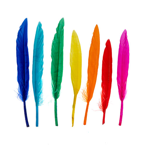 24 pcs - Small Duck Wing Feathers · 3 to 4 inches