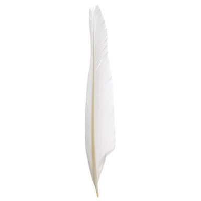 12 pcs - Duck Feathers Assorted Colors · 7 inch