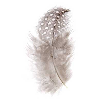 3 g - Small Guinea Fowl Feathers · 1½ to 3 inches