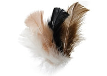 20g - Mixed Natural Color Feathers 4-6 inches