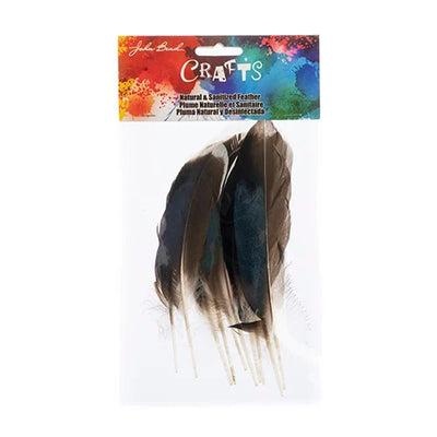 10 pcs - Mallard Duck Feathers 5-6 inches