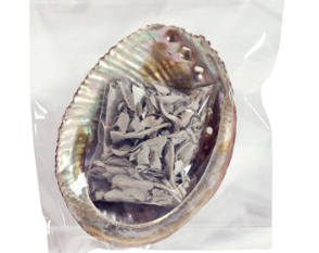 Sauge blanche et coquille d'ormeau