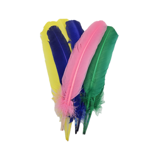 6 pcs - Dyed Turkey Feathers, 3 Left &amp; 3 Right - Assorted Colors · 12 inch