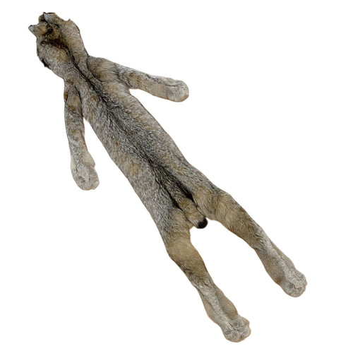 Lynx