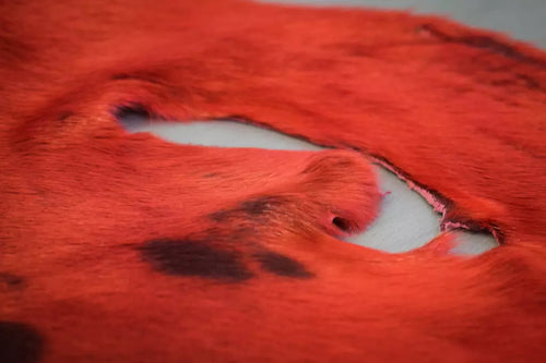 Loup-marin du Groenland teint Rouge cerise - Grade I